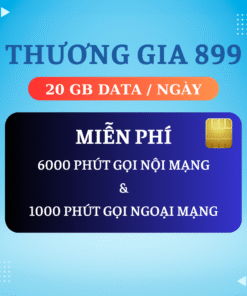 THƯƠNG GIA 899 : 899.000 Đ/THÁNG (ĐÃ BAO GỒM VAT)