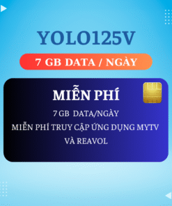 YOLO125V – 125.000đ/Tháng (Đã Bao Gồm VAT)