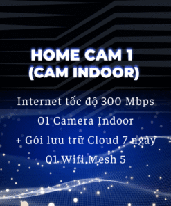Home Cam 1