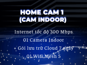 Home Cam 1