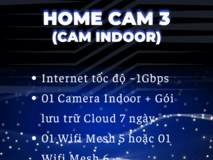 Home Cam 3