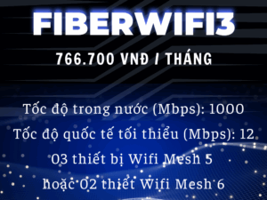 lắp đặt mạng vnpt