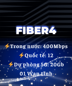 Lắp Internet Wifi doanh nghiệp – Gói Fiber4