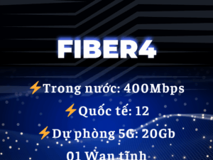 Lắp Internet Wifi doanh nghiệp – Gói Fiber4