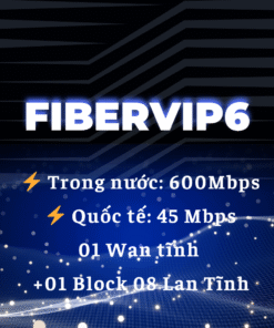 Lắp mạng internet VNPT gói FiberVip6