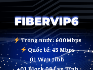 Lắp mạng internet VNPT gói FiberVip6