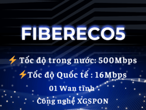 Lắp Mạng VNPT FiberEco5