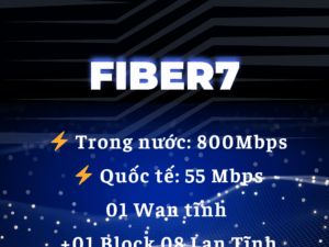 Lắp Internet cáp quang VNPT gói Fiber7 – Giải pháp tốc độ cao cho doanh nghiệp hiện đại
