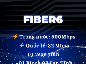 lắp mạng internet VNPT cho doanh nghiệp lớn